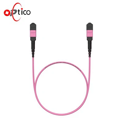 Ponticello MTP MPO 12F del data center